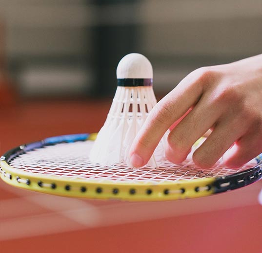 Paletă de badminton