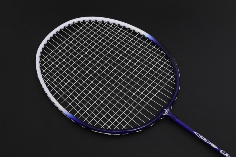 Racheta Iron Split Badminton CX-B101 Albastra