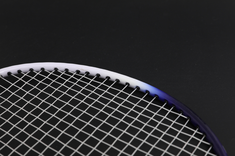 Racheta Iron Split Badminton CX-B101 Albastra