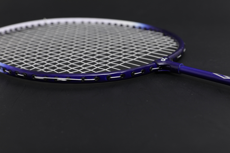 Racheta Iron Split Badminton CX-B101 Albastra